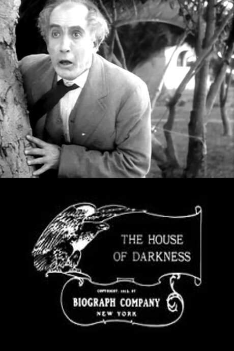 The House of Darkness (1913) movie poster