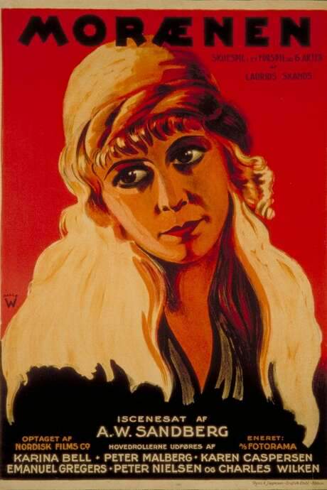 The House of Shadows (1924) movie poster