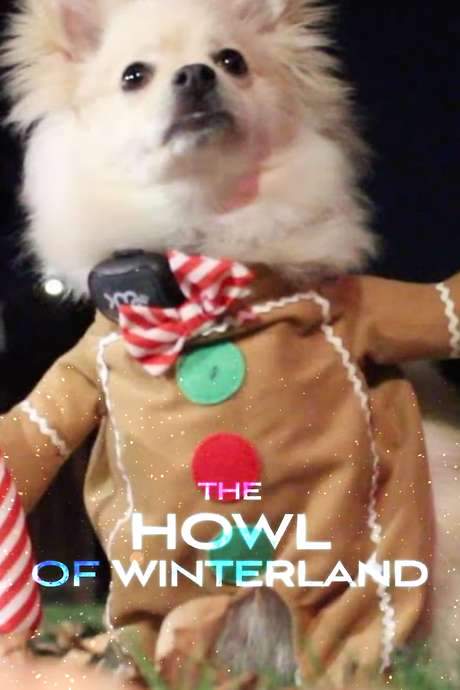The Howl of Winterland (2022) movie poster