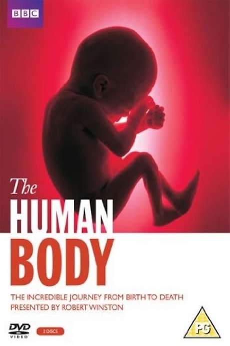 The Human Body (1998) movie poster