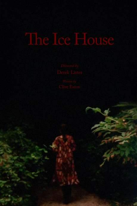The Ice House (1978) movie poster