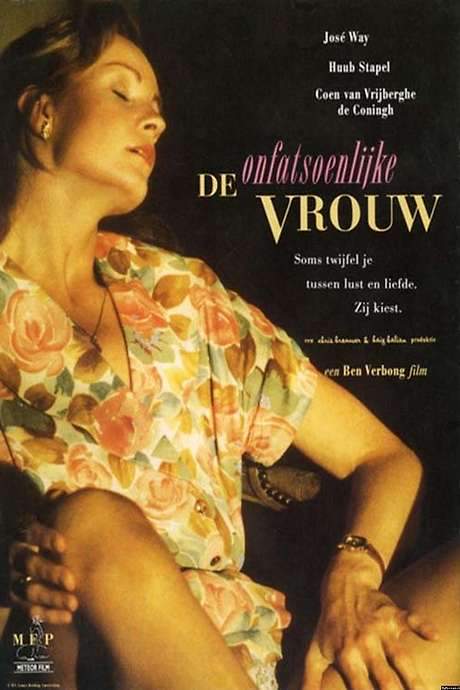 The Indecent Woman (1991) movie poster