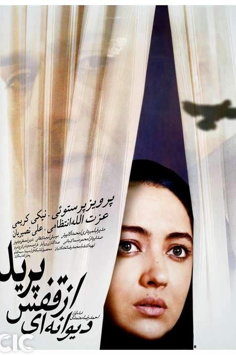 The Insane Flew Away (2003) movie poster
