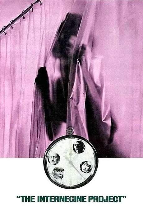 The Internecine Project (1974) movie poster