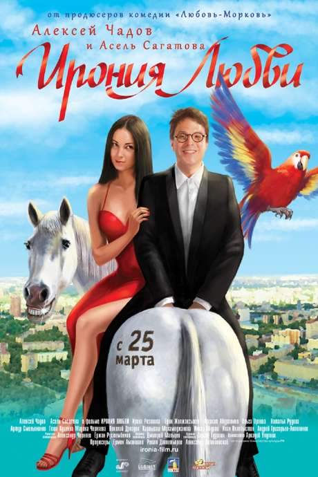 The Irony of Love (2010) movie poster