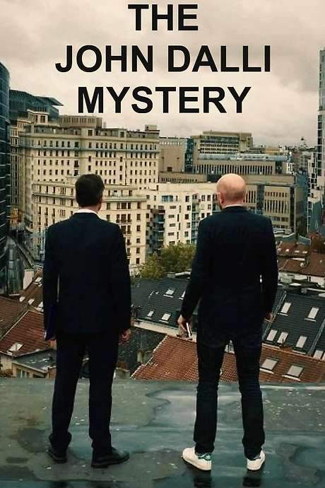 The John Dalli Mystery (2017) movie poster
