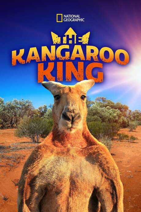 The Kangaroo King (2015) movie poster