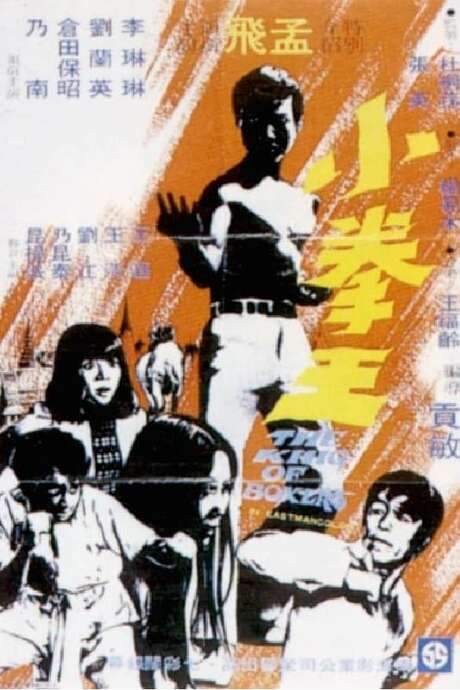 The King of Boxers (1972) movie poster