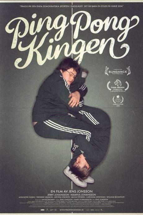 The King of Ping Pong (2008) movie poster