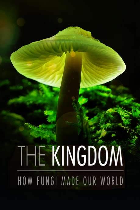 The Kingdom: How Fungi Made Our World (2018) movie poster