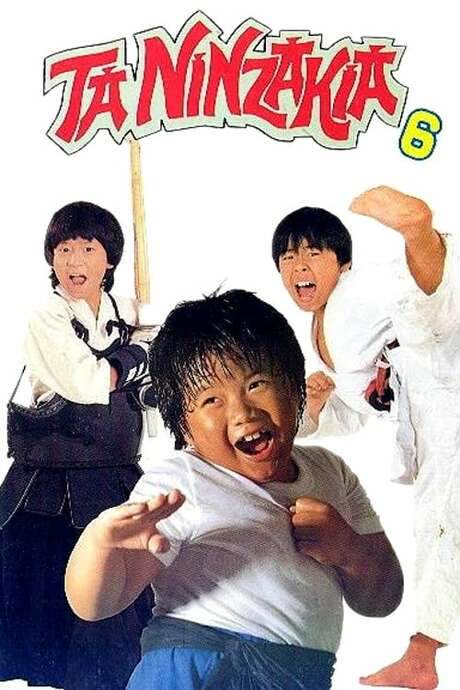 The Kung Fu Kids VI (1989) movie poster