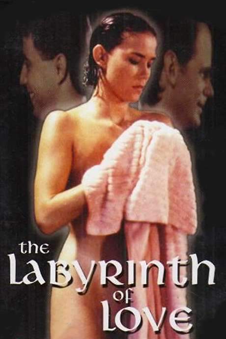 The Labyrinth of Love (1994) movie poster