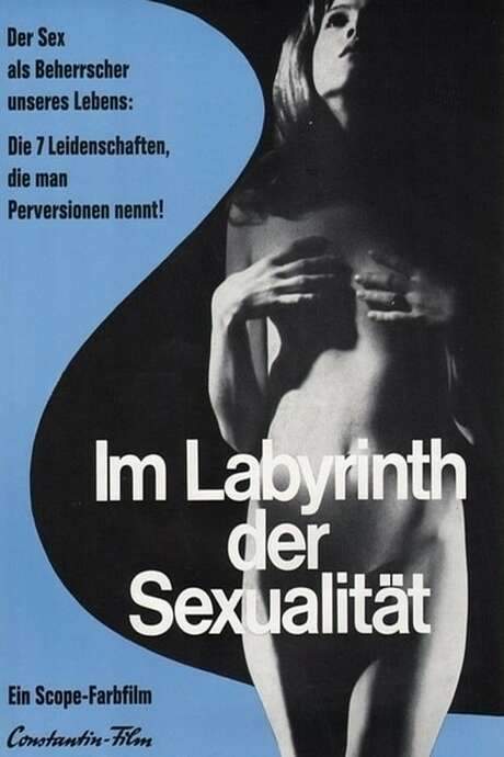 The Labyrinth of Sex (1969) movie poster