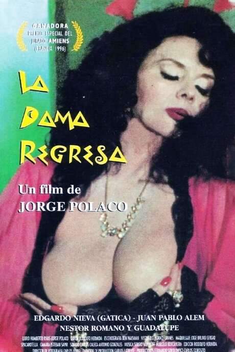 The Lady Is Back (1996) movie poster