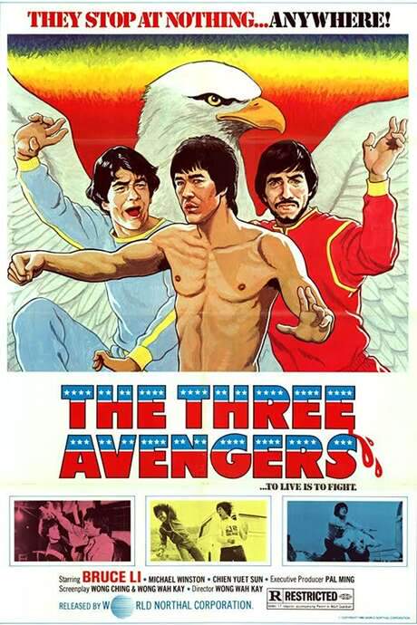 The Lama Avenger (1979) movie poster