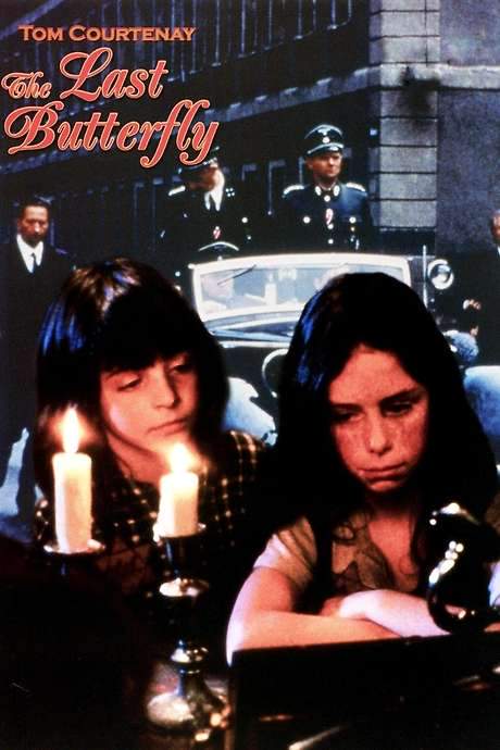 The Last Butterfly (1991) movie poster
