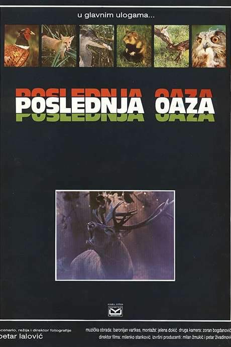 The Last Oasis (1983) movie poster