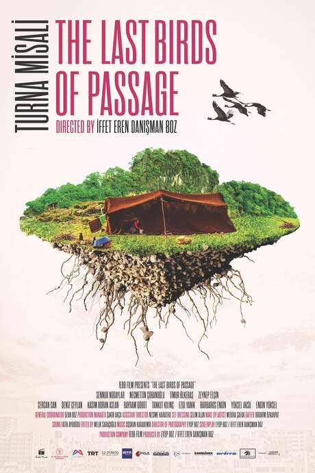 The Last Birds of Passage (2021) movie poster