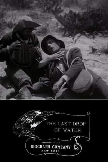 The Last Drop of Water (1911) movie poster