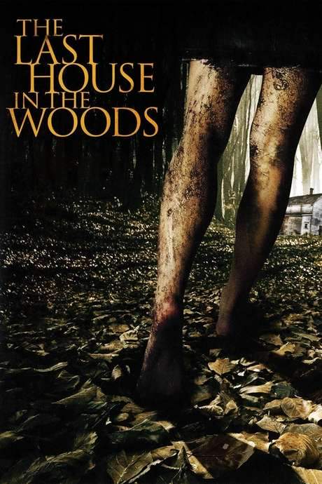 The Last House in the Woods (2006) movie poster
