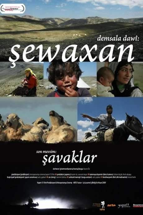 The Last Season: Shawaks (2009) movie poster