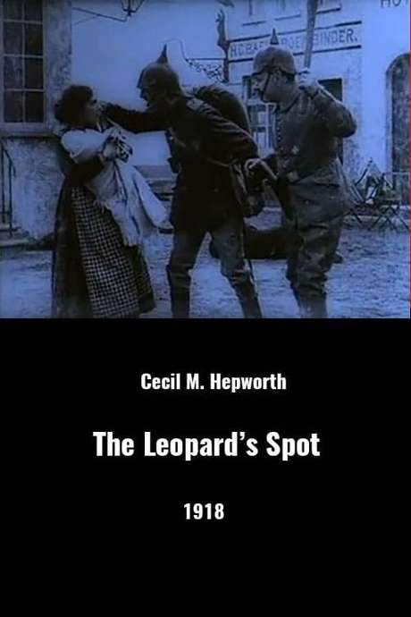 The Leopard’s Spots (1918) movie poster