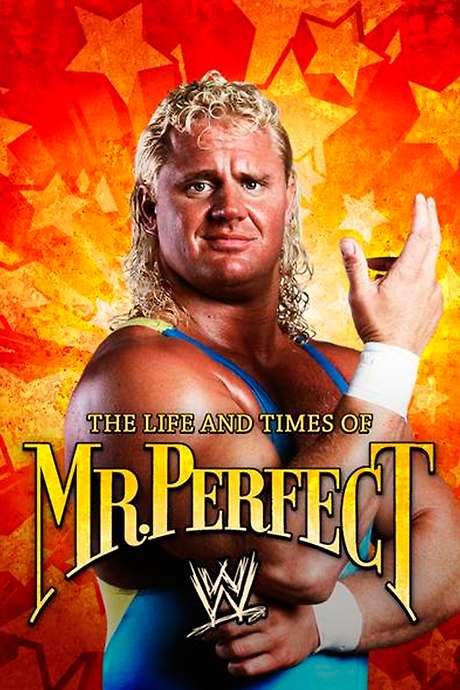 The Life and Times of Mr. Perfect (2008) movie poster