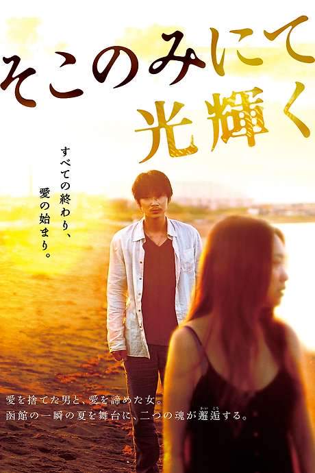 The Light Shines Only There (2014) movie poster