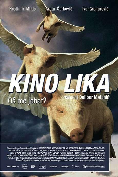 The Lika Cinema (2008) movie poster