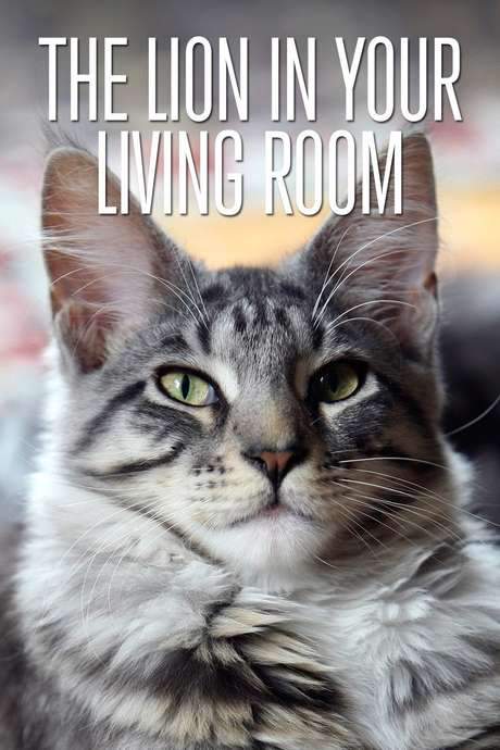The Lion In Your Living Room (2015) movie poster