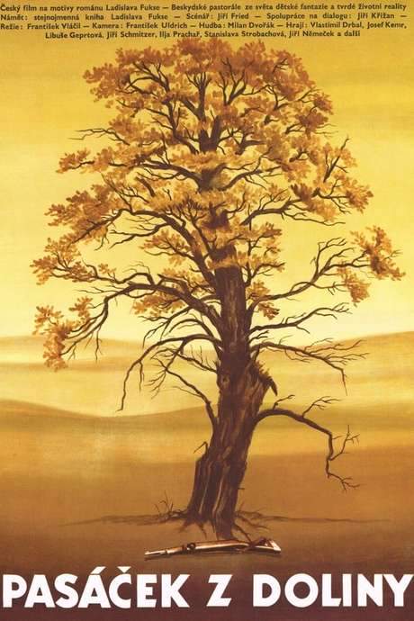 The Little Shepherd Boy from the Valley (1984) movie poster