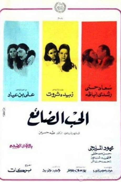 The Lost Love (1970) movie poster