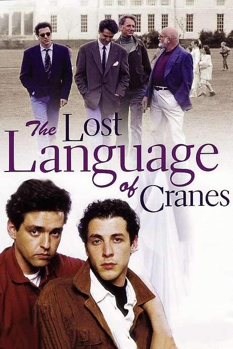 The Lost Language of Cranes (1992) movie poster