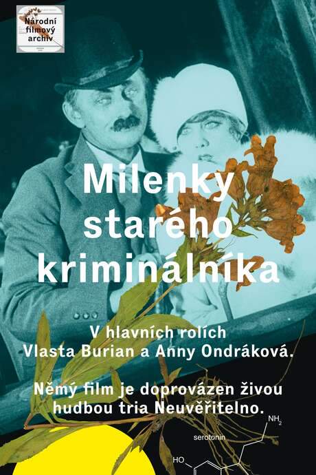The Lovers of an Old Criminal (1927) movie poster