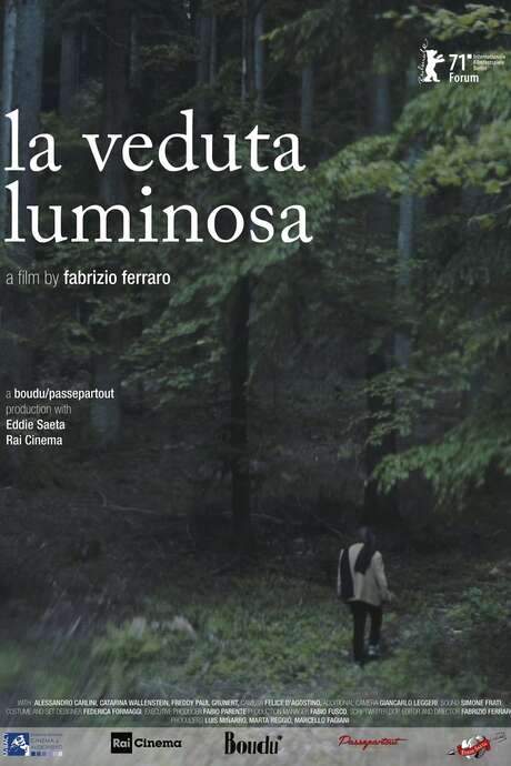 The Luminous View (2021) movie poster