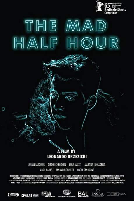 The Mad Half Hour (2015) movie poster