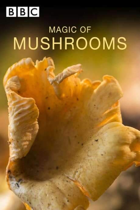 The Magic of Mushrooms (2014) movie poster