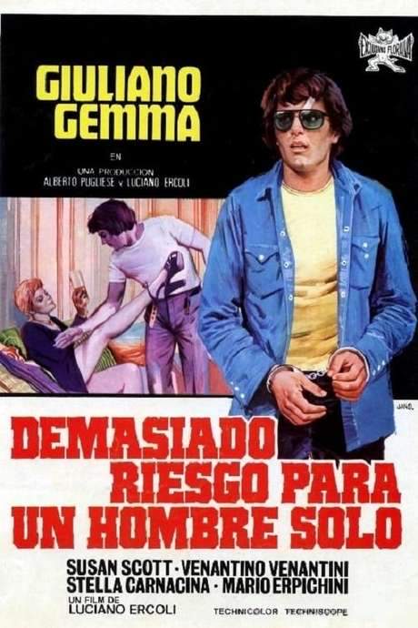 The Magnificent Dare Devil (1973) movie poster