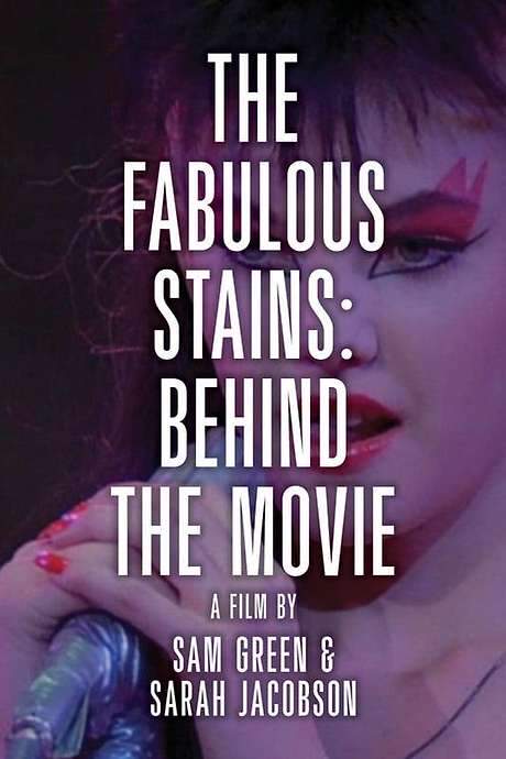 The Making of Ladies and Gentlemen, Fabulous Stains (1999) movie poster