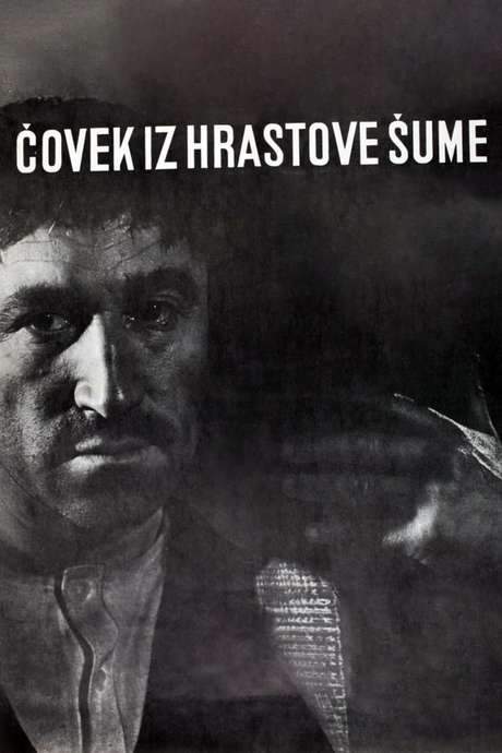 The Man from the Oak Forest (1964) movie poster