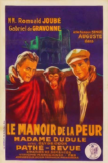 The Manor House of Fear (1927) movie poster