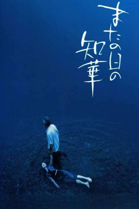 The Many Faces of Chika (2005) movie poster