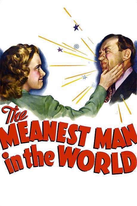The Meanest Man in the World (1943) movie poster