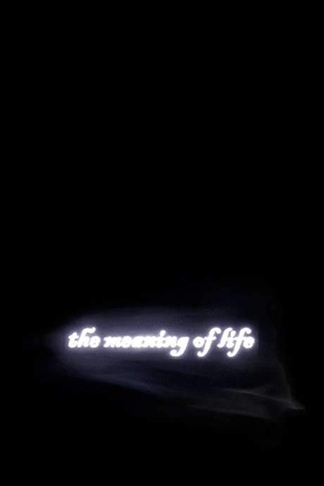 The Meaning of Life (2005) movie poster