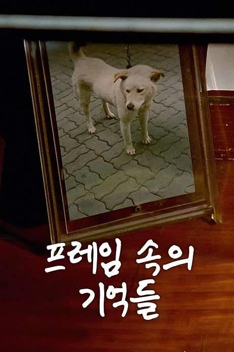 The Memories in My Frame (1994) movie poster