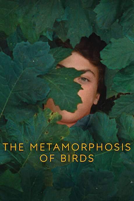The Metamorphosis of Birds (2020) movie poster