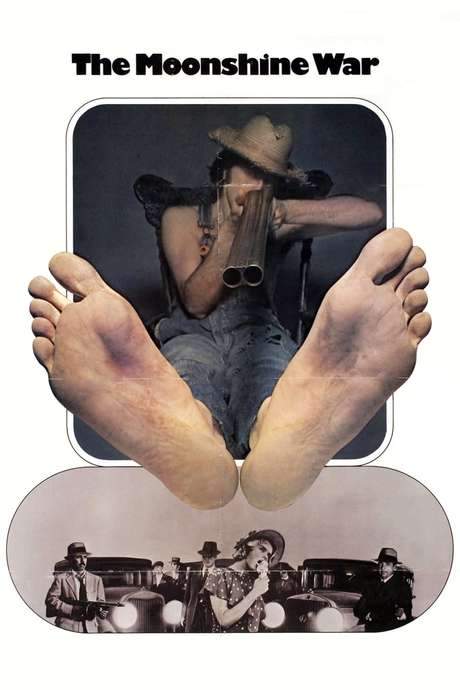 The Moonshine War (1970) movie poster