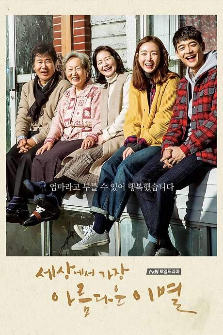 The Most Beautiful Goodbye (2017) movie poster
