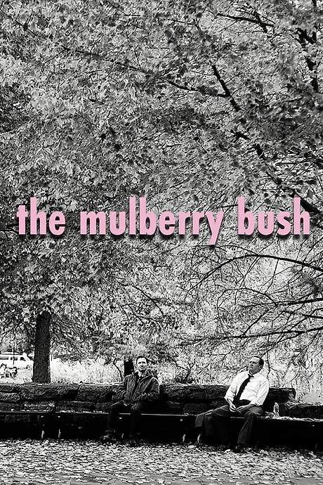 The Mulberry Bush (2016) movie poster