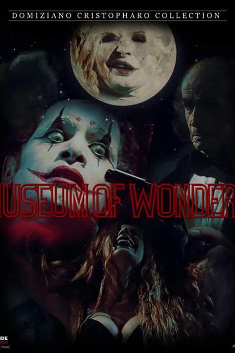The Museum Of Wonders (2010) movie poster